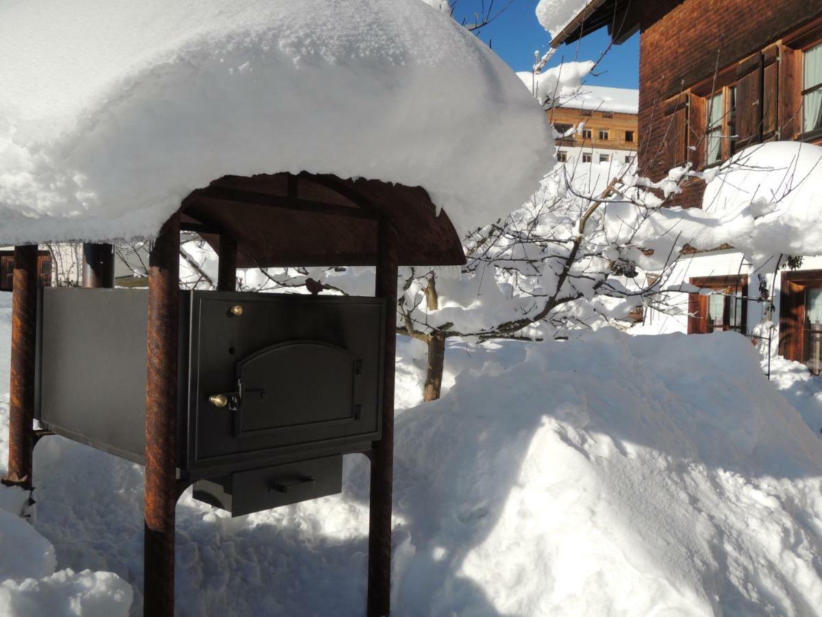 Appartements Karin Mitten Im Gruenen Schoppernau Dış mekan fotoğraf