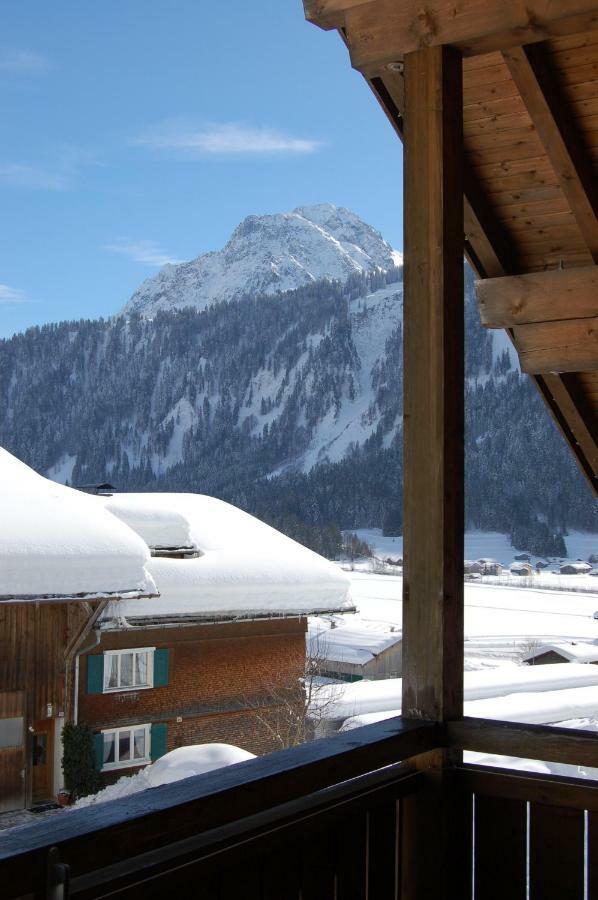 Appartements Karin Mitten Im Gruenen Schoppernau Dış mekan fotoğraf