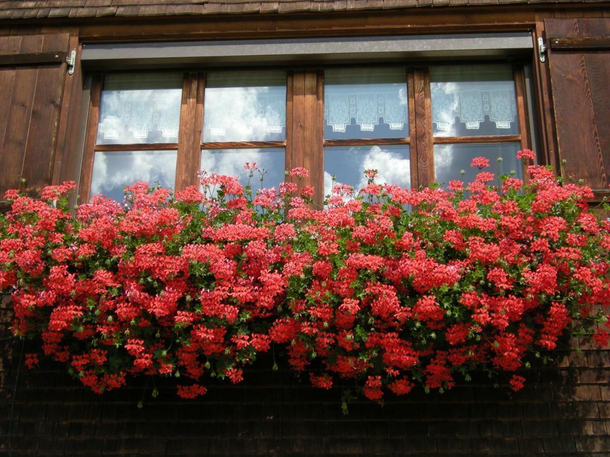 Appartements Karin Mitten Im Gruenen Schoppernau Dış mekan fotoğraf