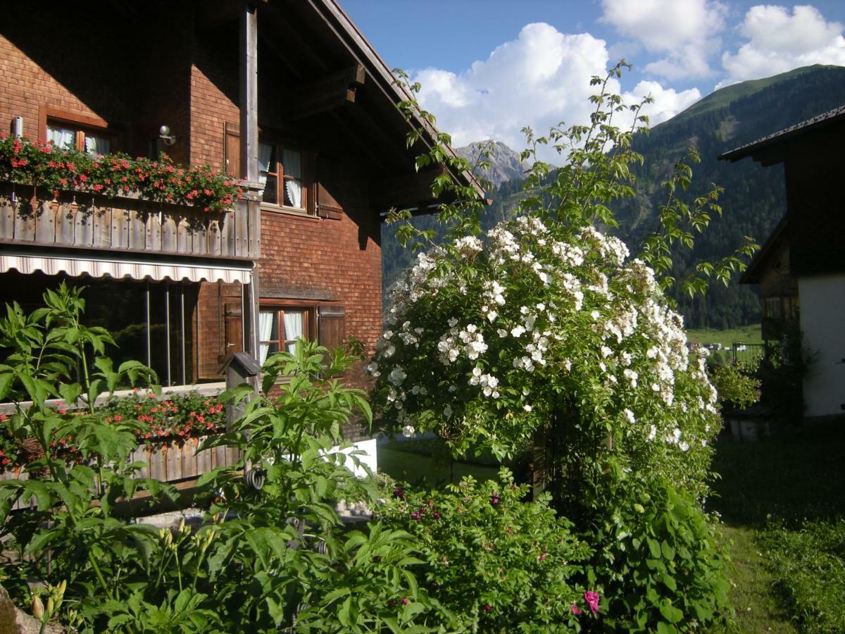 Appartements Karin Mitten Im Gruenen Schoppernau Dış mekan fotoğraf