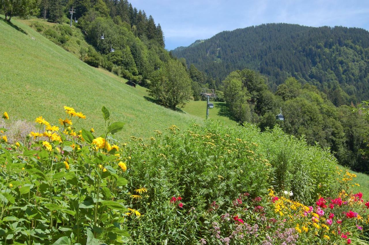 Appartements Karin Mitten Im Gruenen Schoppernau Dış mekan fotoğraf