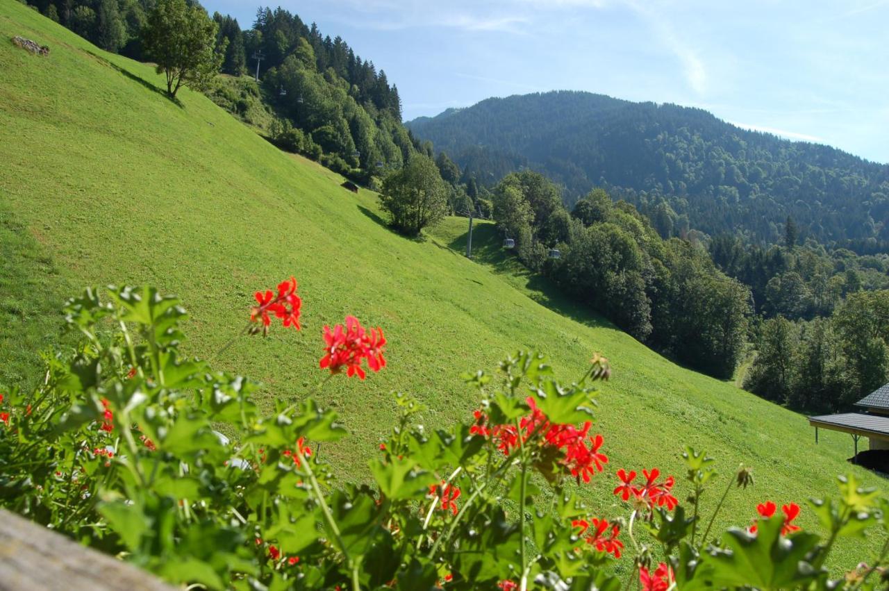 Appartements Karin Mitten Im Gruenen Schoppernau Dış mekan fotoğraf